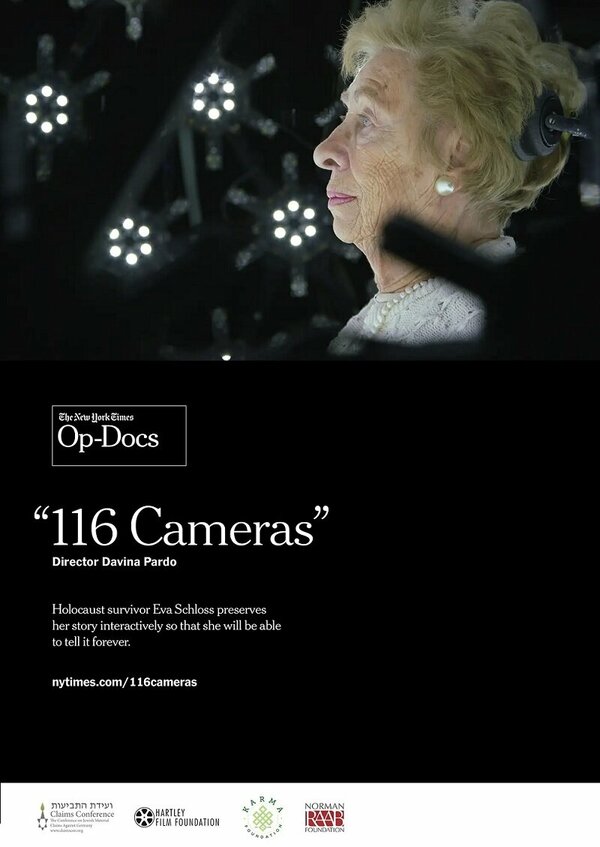 Постер 116 камер