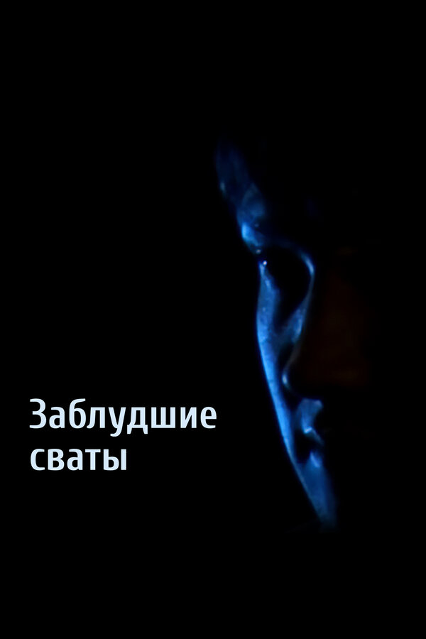 Постер Заблудшие сваты