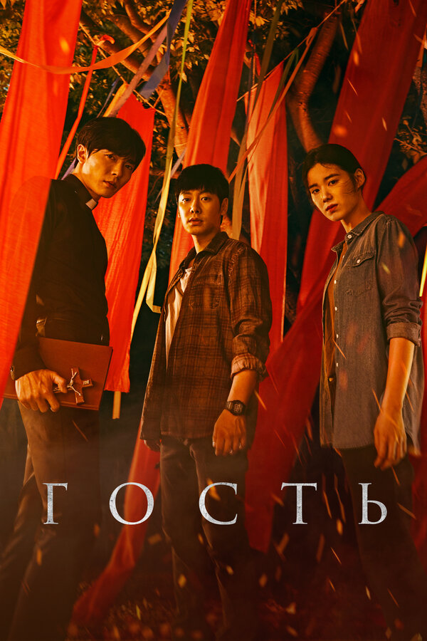 Постер Гость