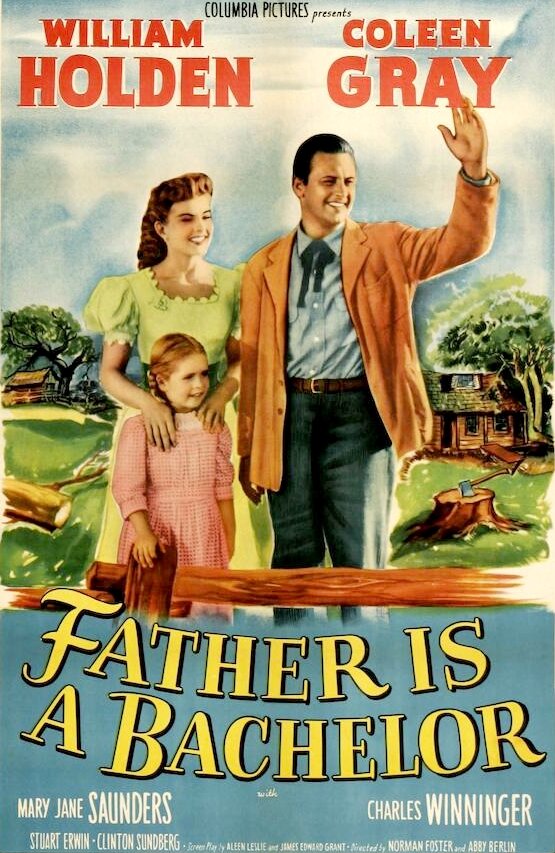 Постер Отец-холостяк
