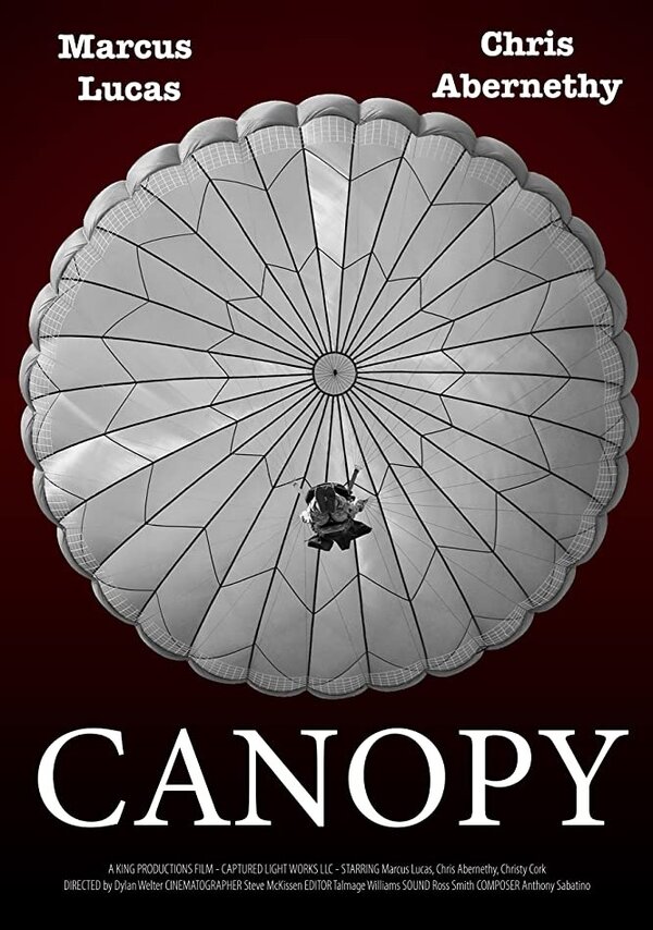 Постер Canopy