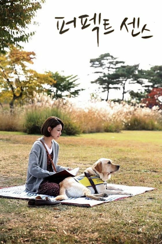 Постер Идеальное чувство