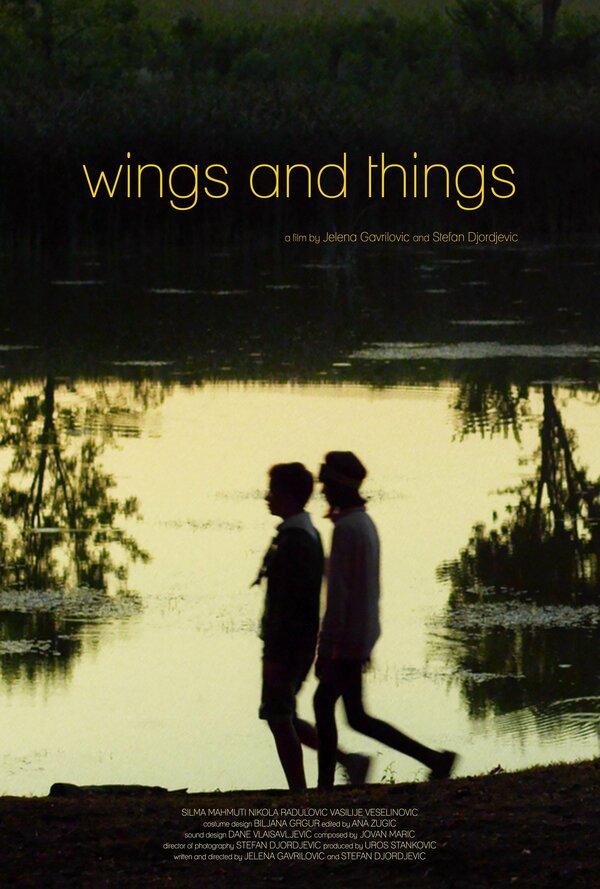 Постер Wings and Things
