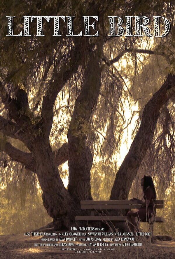 Постер Little Bird