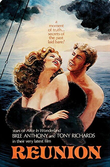 Постер Reunion