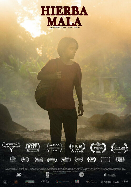 Постер Сорная трава