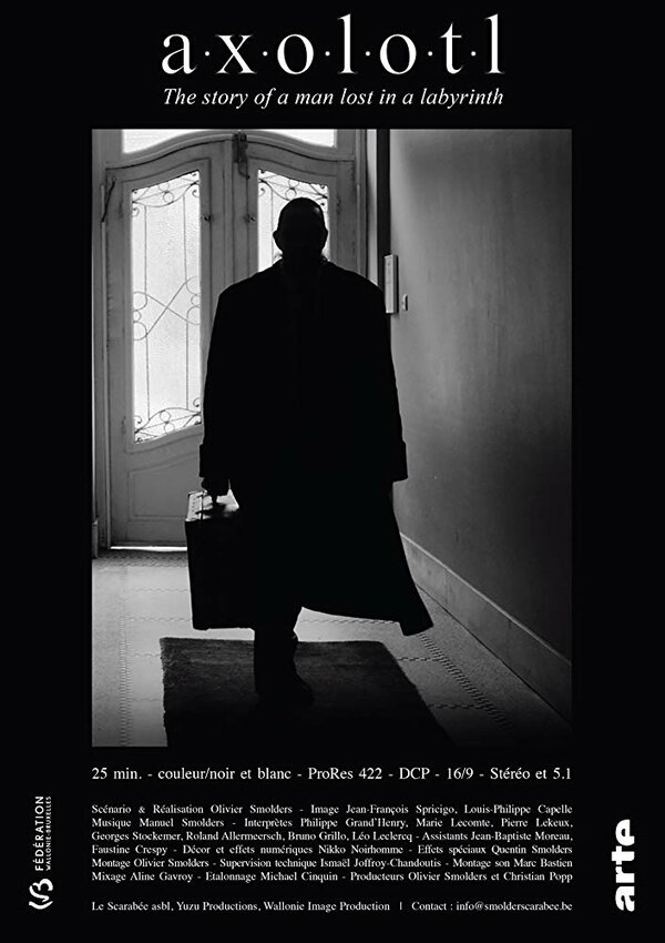 Постер Аксолотль