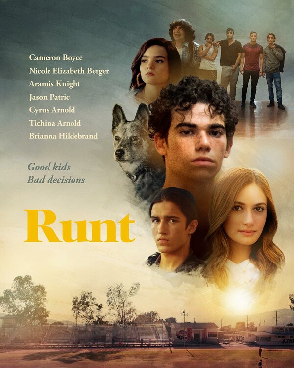 Постер Runt
