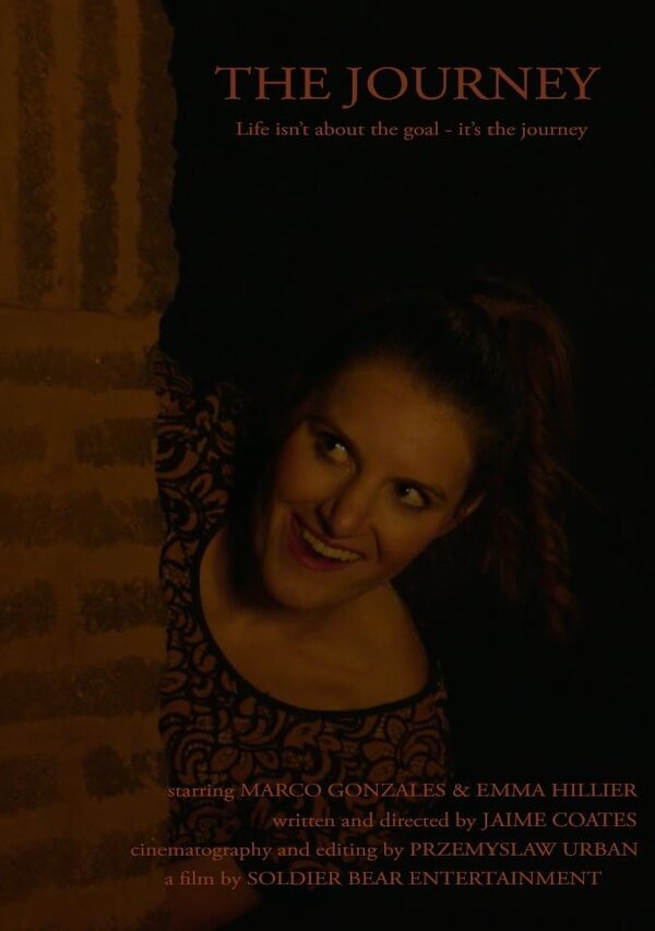 Постер The Journey