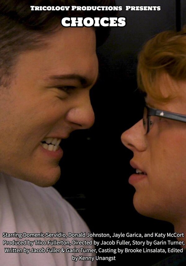Постер Choices