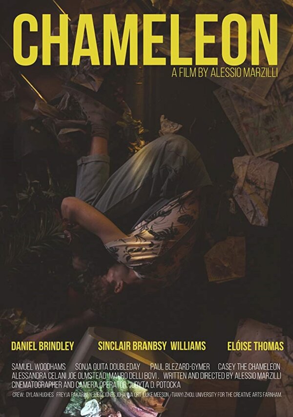 Постер Chameleon