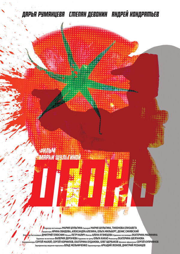 Постер Огонь