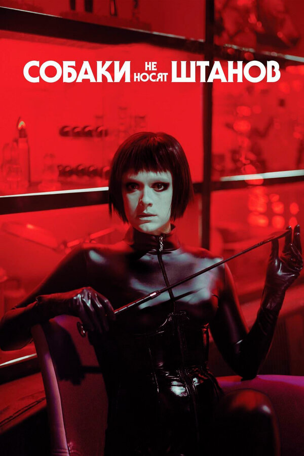 Постер Собаки не носят штанов