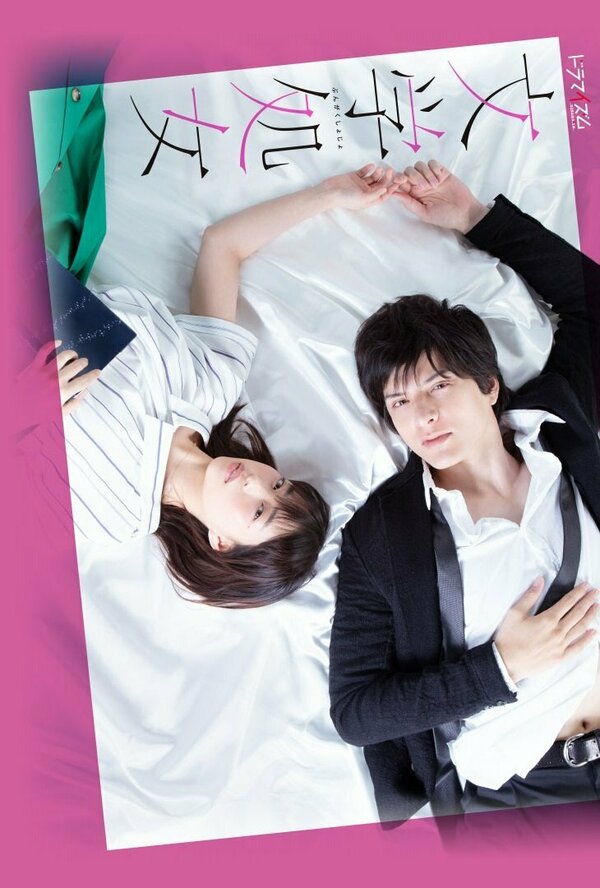 Постер Литературная девушка