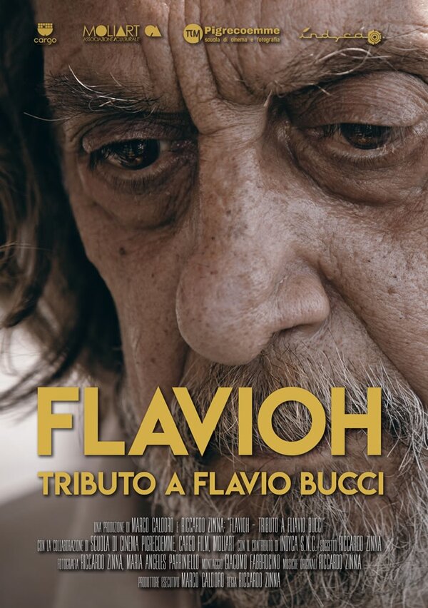 Постер Flavioh - Tributo a Flavio Bucci