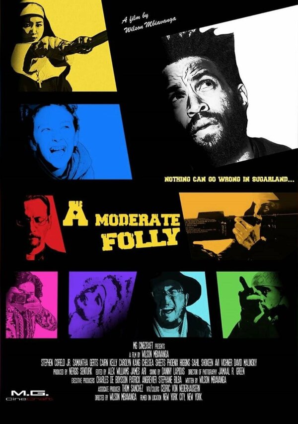 Постер A Moderate Folly