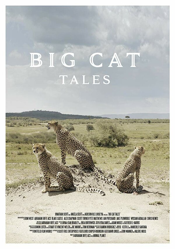 Постер Big Cat Tales