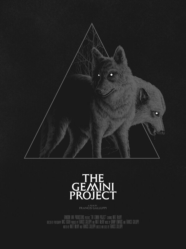 Постер The Gemini Project