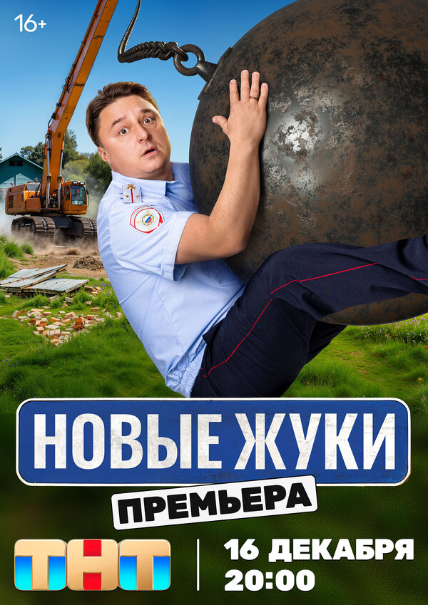 Постер Жуки