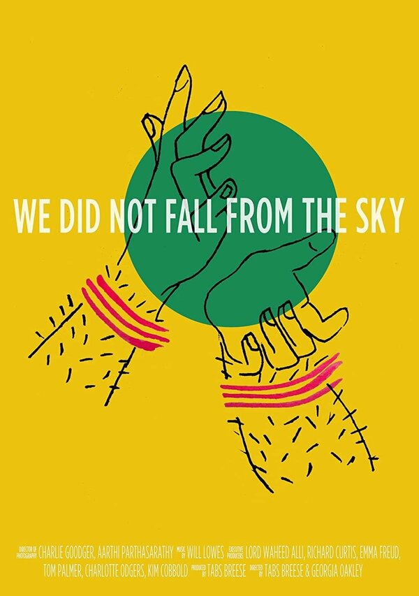 Постер We Did Not Fall from the Sky