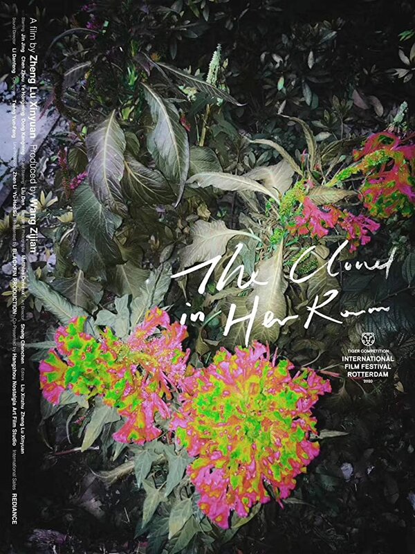 Постер Облако в её комнате