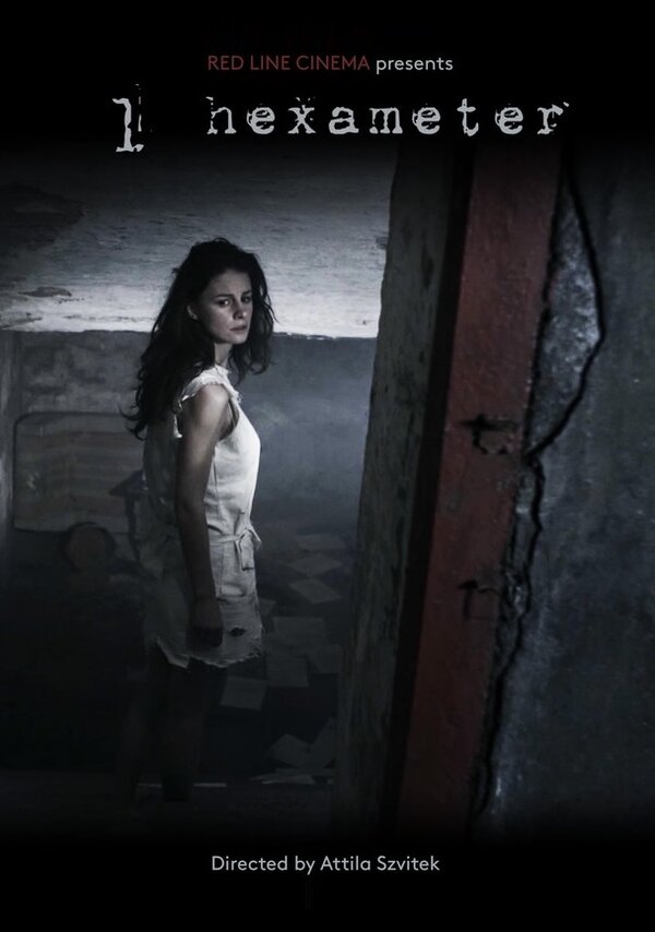 Постер 1 hexameter