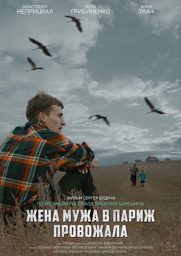 Постер Жена мужа в Париж провожала