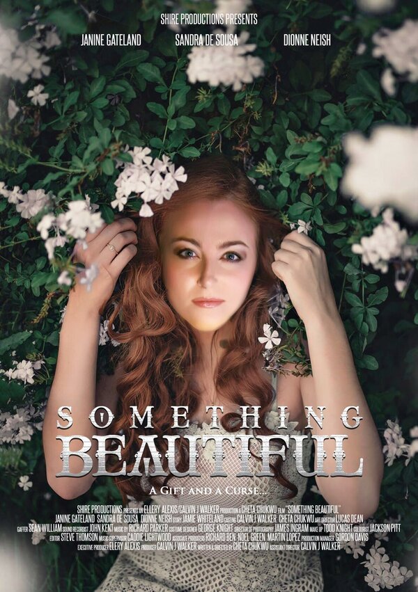 Постер Something Beautiful