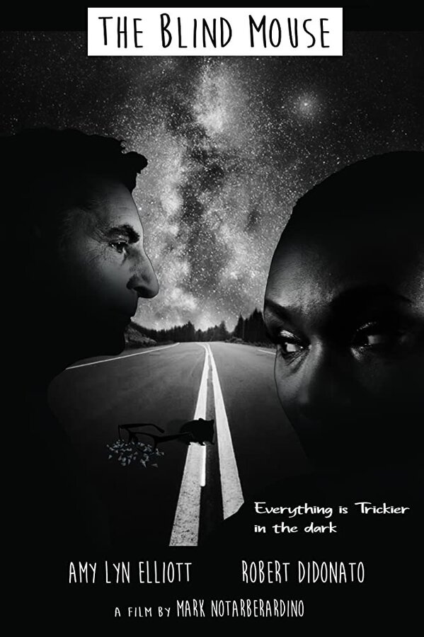 Постер The Blind Mouse