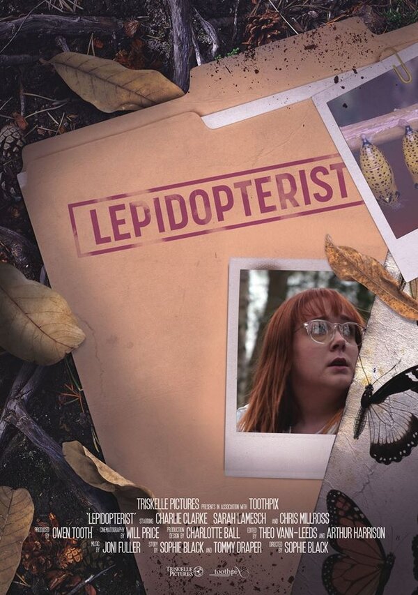 Постер Lepidopterist