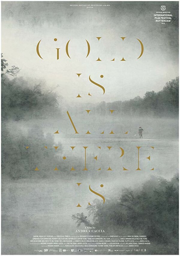 Постер Gold Is All There Is