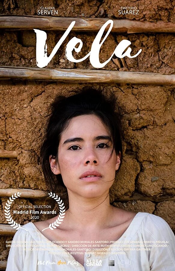 Постер Vela
