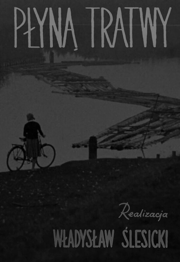 Постер Плавание плотов