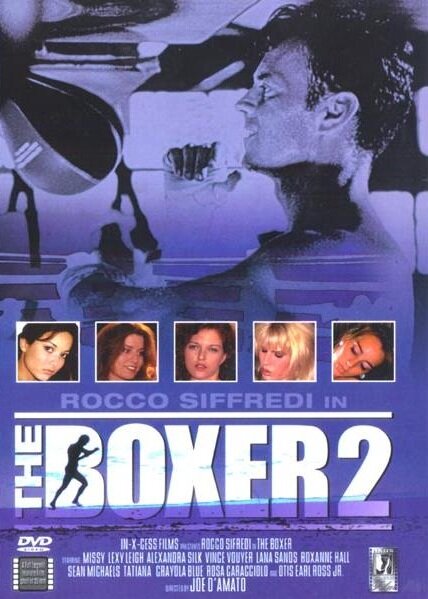 Постер The Boxer 2