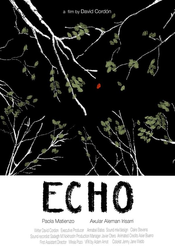 Постер Echo