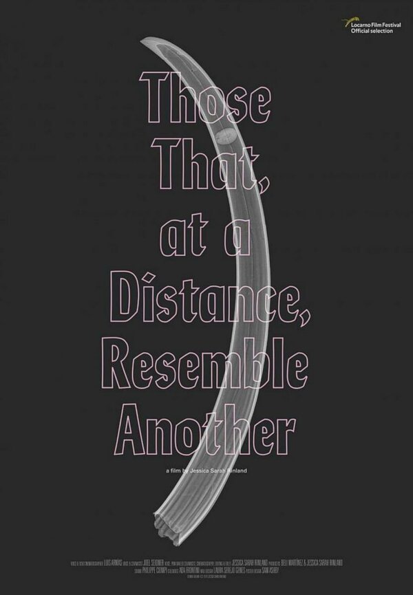 Постер То, что на расстоянии напоминает другое