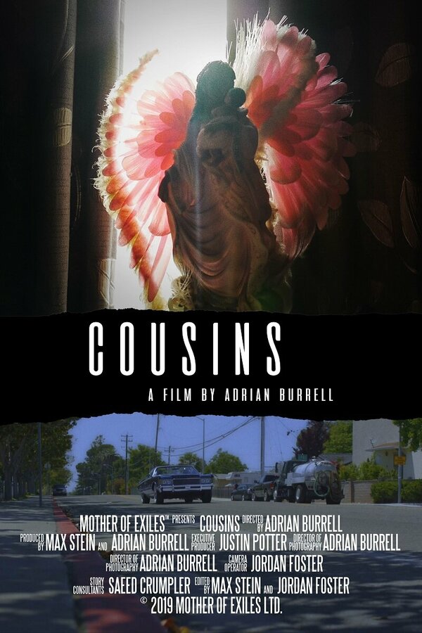 Постер Cousins