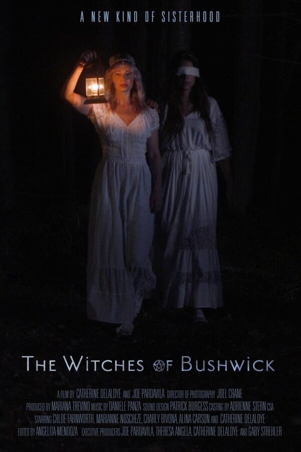 Постер The Witches of Bushwick