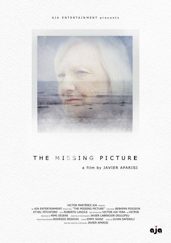 Постер The Missing Picture