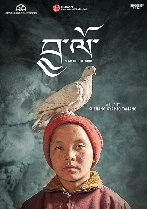 Постер Год птицы