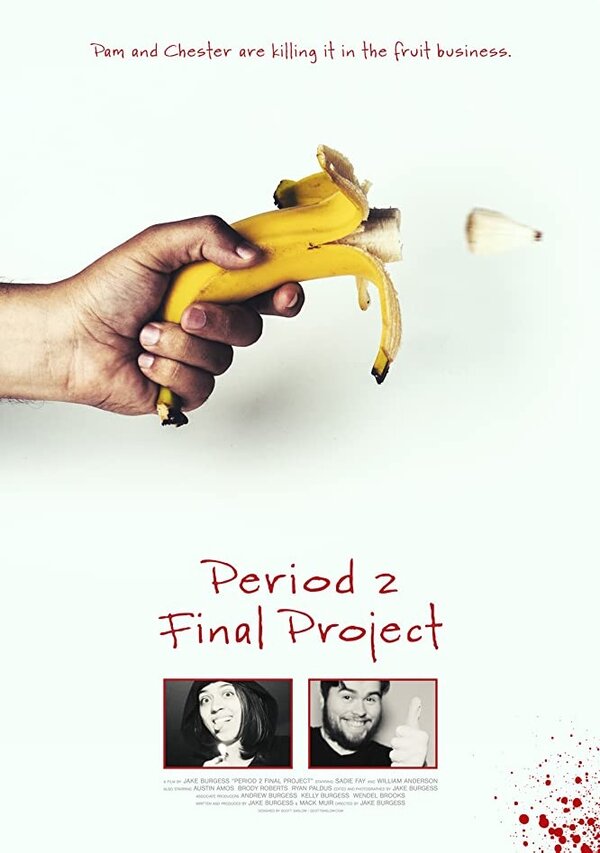 Постер Period 2 Final Project