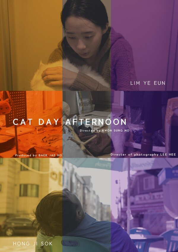 Постер Кошачий полдень