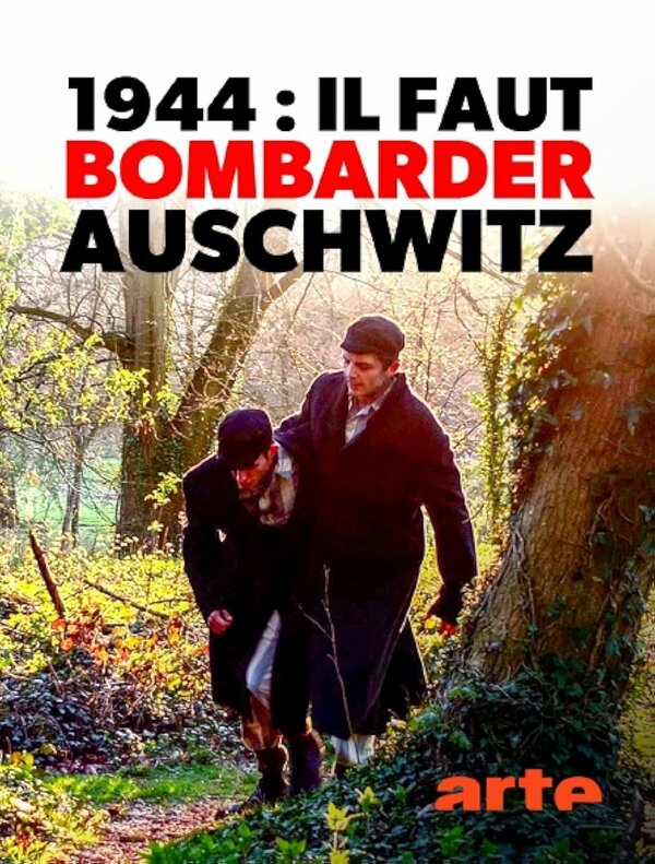 Постер 1944: Bomben auf Auschwitz?