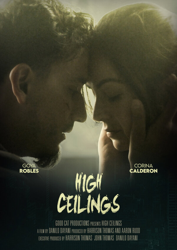 Постер High Ceilings