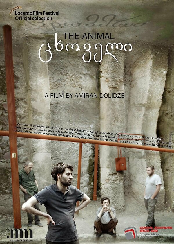 Постер Tskhoveli