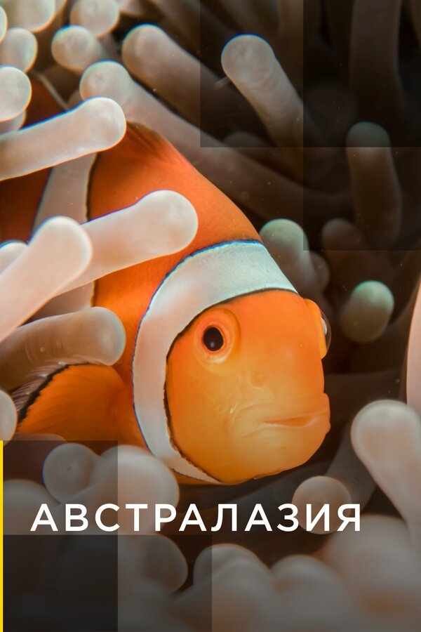 Постер Австралазия