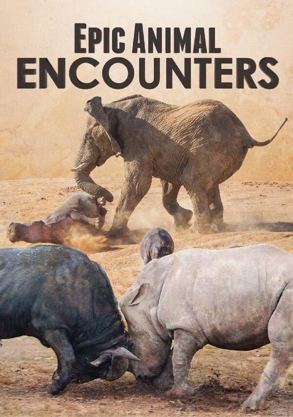 Постер Epic Animal Encounters