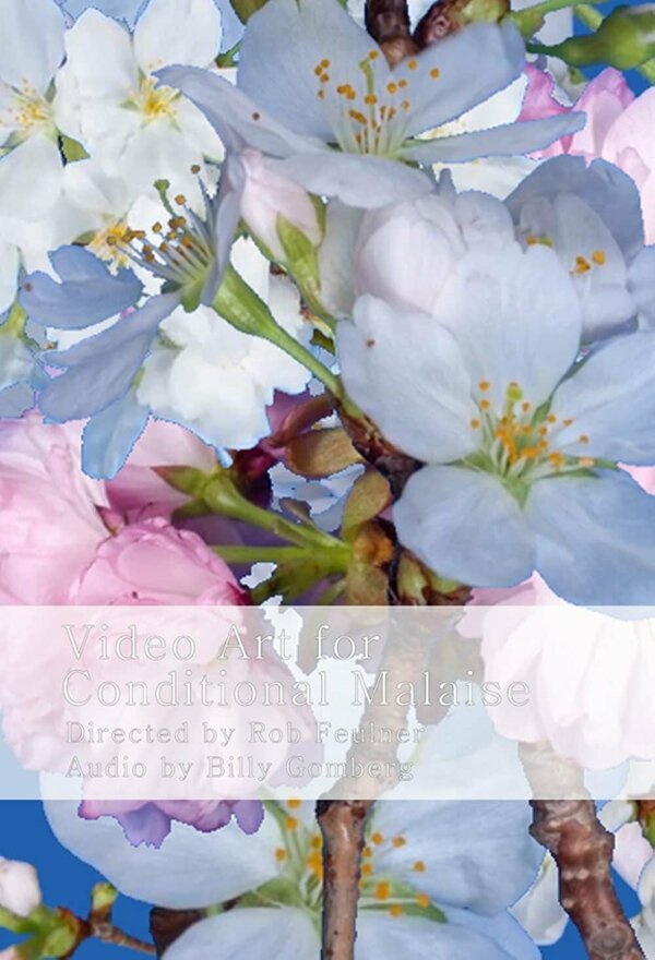 Постер Video Art for Conditional Malaise