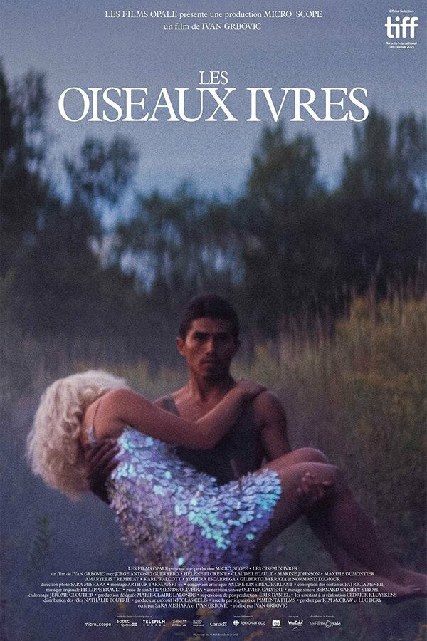 Постер Les oiseaux ivres