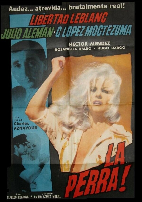 Постер Сука!